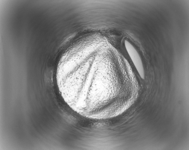 X0000055980115200509162235