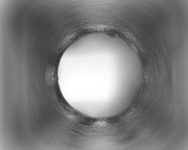 X0000055980119200509162235