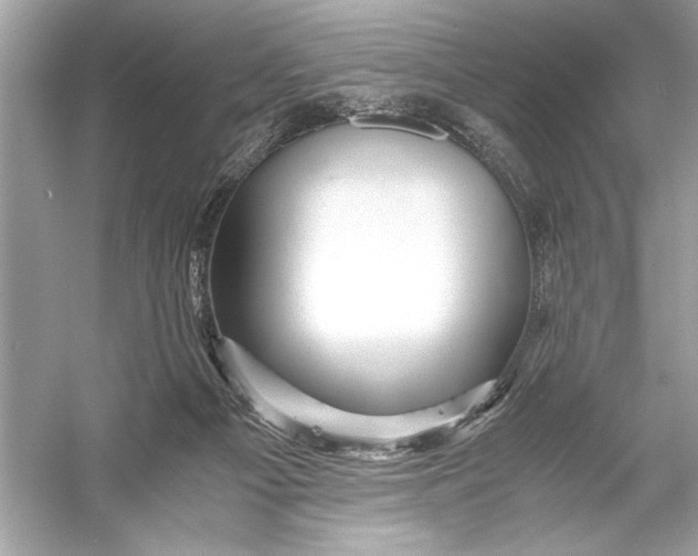 X0000055980121200509162235