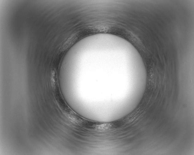 X0000055980122200509162235