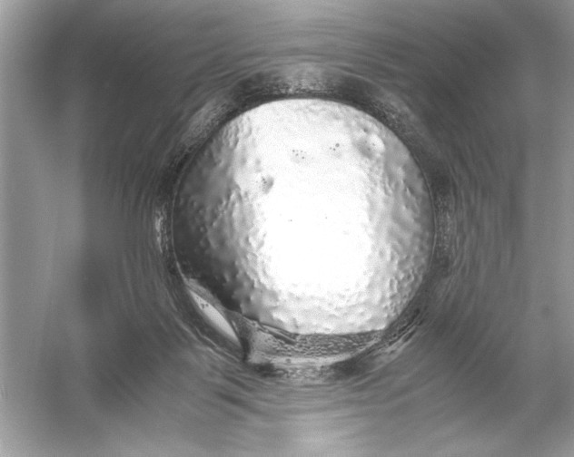X0000055980123200509162235