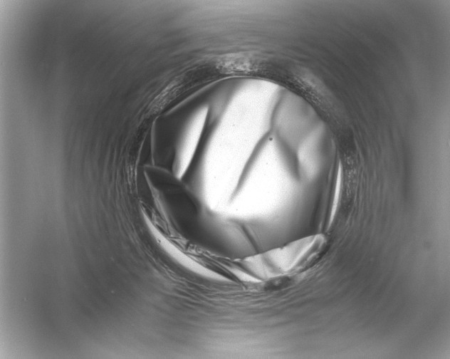 X0000055980125200509162235