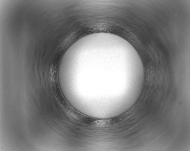 X0000055980126200509162235