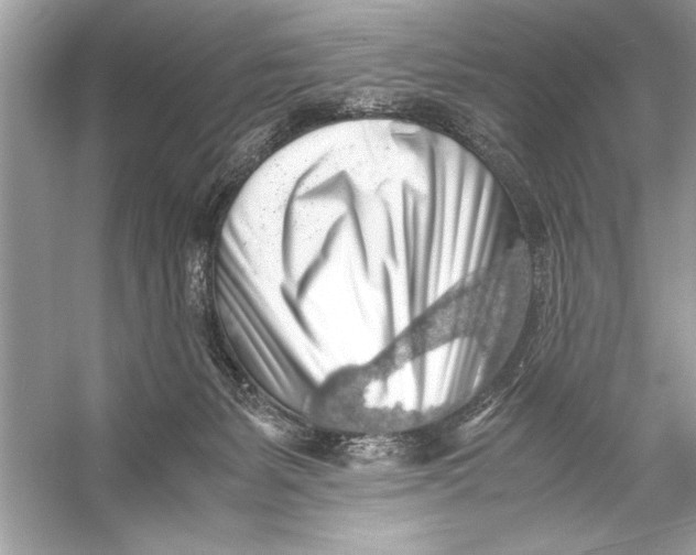 X0000055980127200509162235