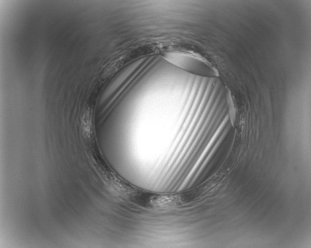 X0000055980129200509162235