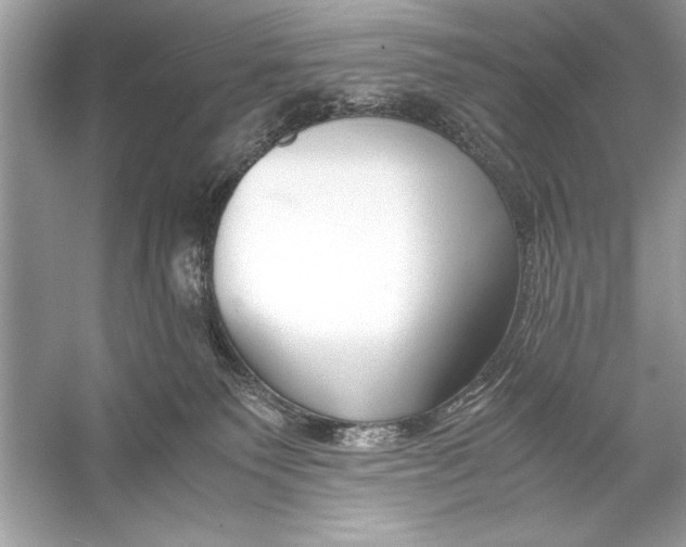 X0000055980135200509162235