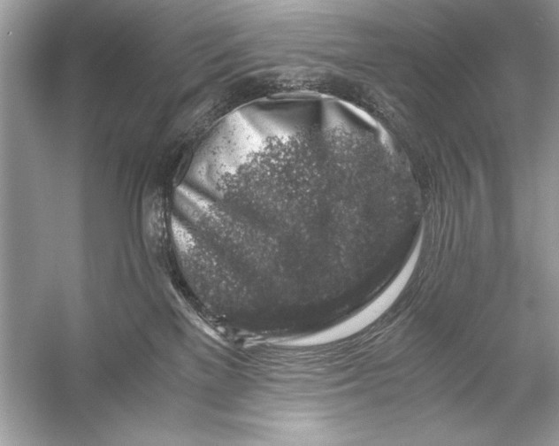 X0000055980137200509162235