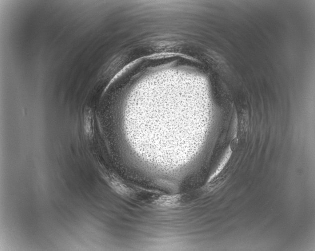 X0000055980138200509162235