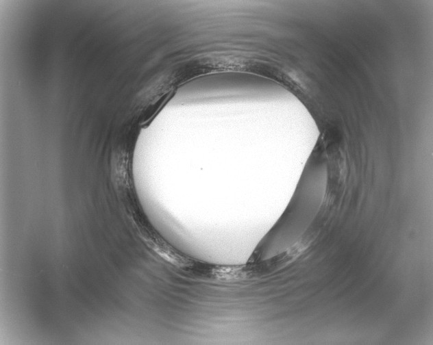 X0000055980141200509162235