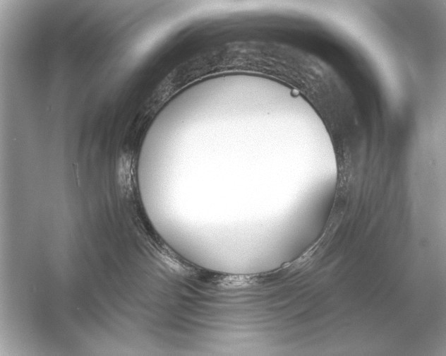 X0000055980142200509162235