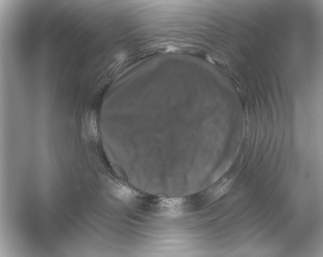 X0000055980143200509162235