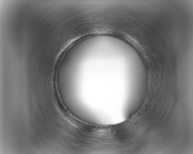X0000055980155200509162234