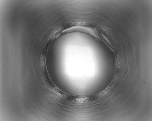 X0000055980172200509162235