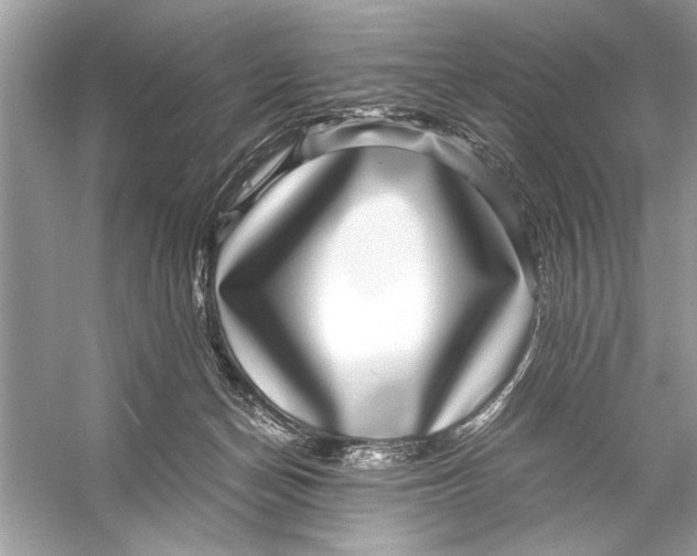 X0000055980174200509162235