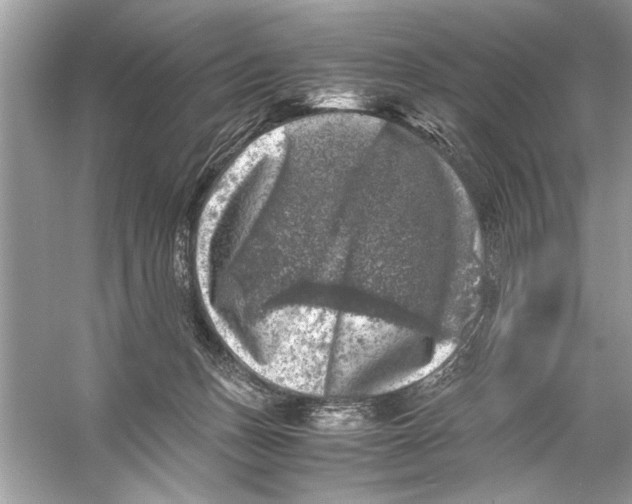 X0000055980175200509162235