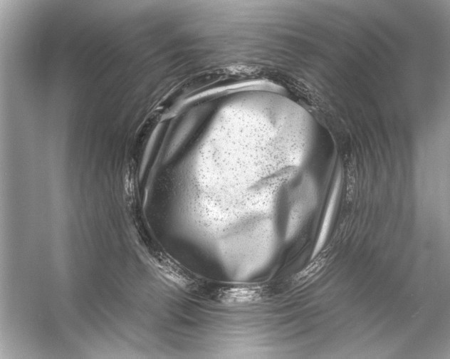 X0000055980176200509162235