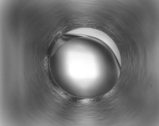 X0000055980184200509162235