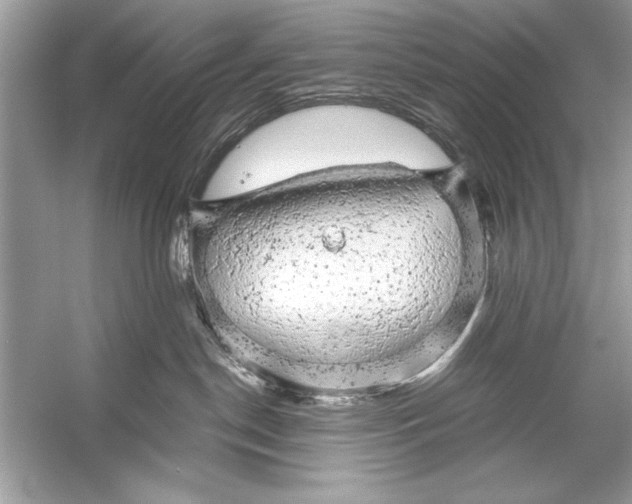 X0000055980190200509162235