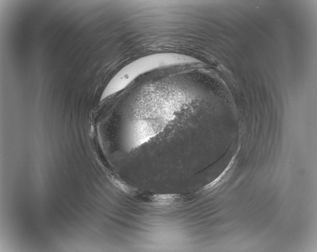 X0000055980192200509162235