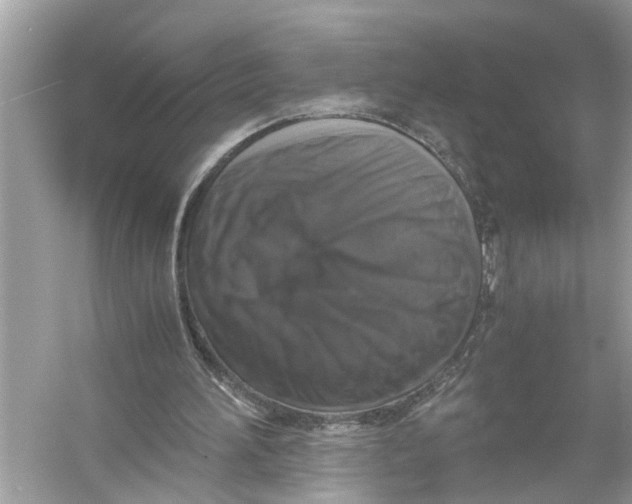 X0000055980196200509162234