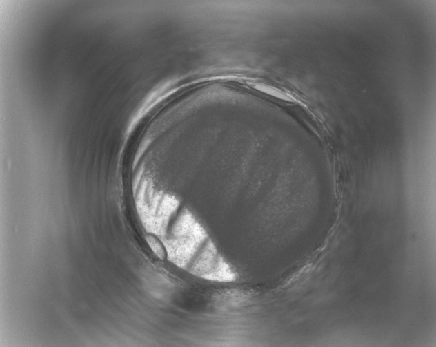 X0000055980198200509162234