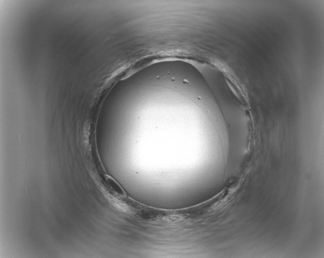 X0000055980201200509162234
