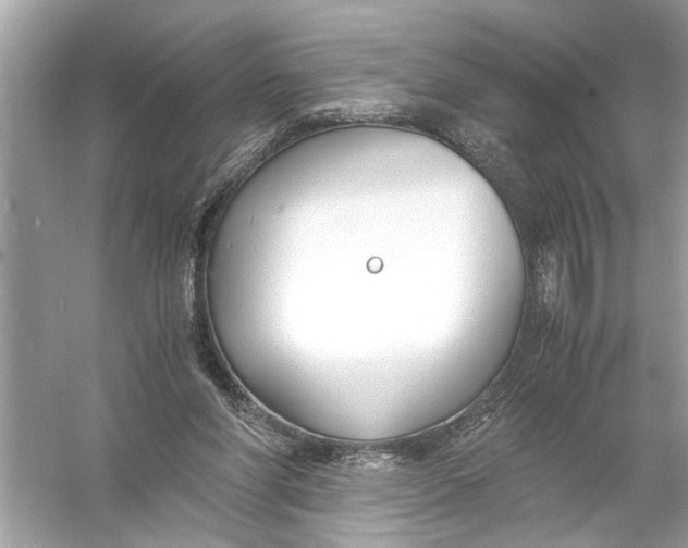 X0000055980206200509162234