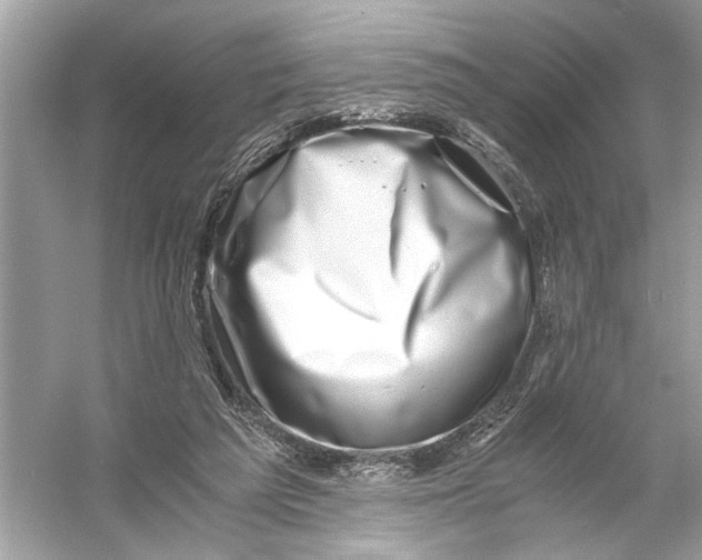 X0000055980209200509162234