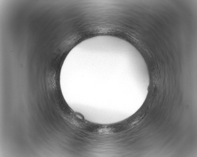 X0000055980216200509162234