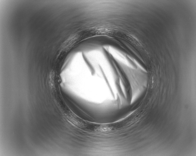 X0000055980217200509162234