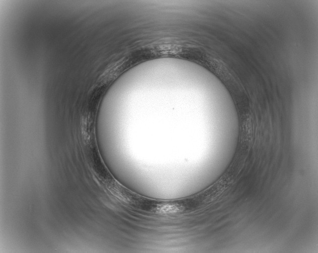 X0000055980218200509162234