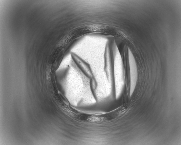 X0000055980221200509162234