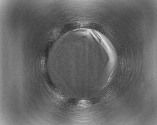 X0000055980222200509162234