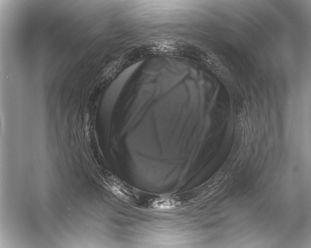 X0000055980223200509162234