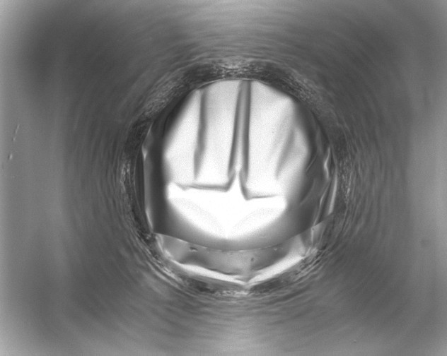 X0000055980225200509162234