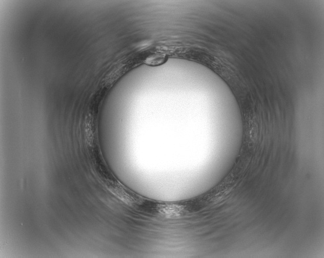 X0000055980226200509162234