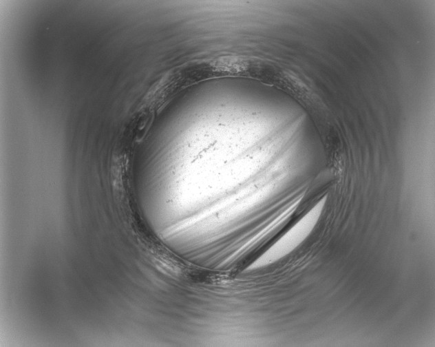 X0000055980229200509162233