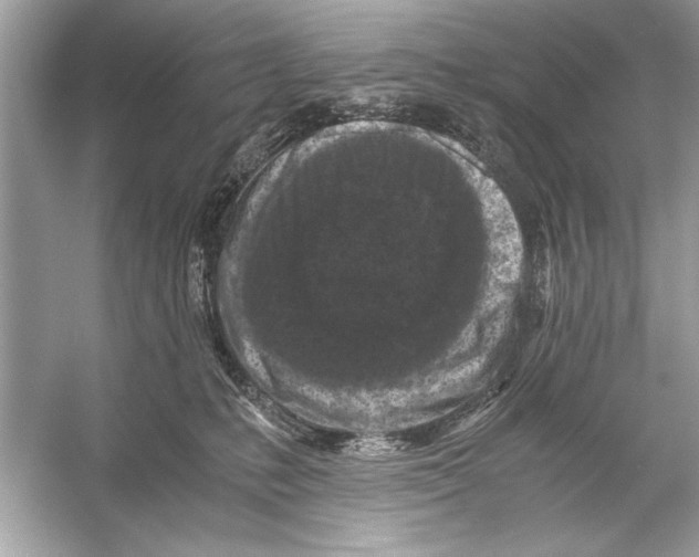 X0000055980231200509162233