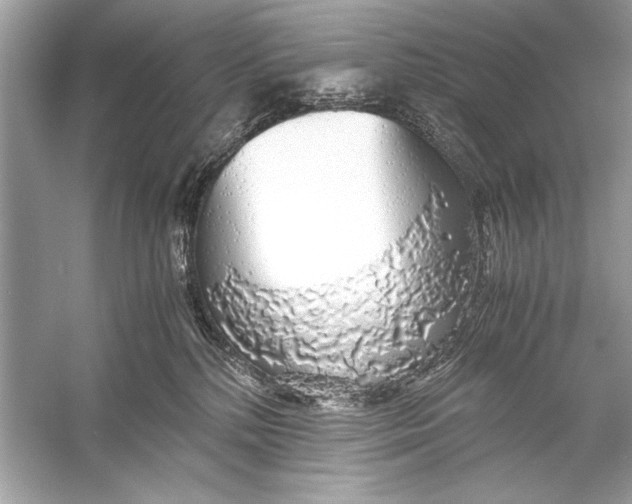 X0000055980232200509162233