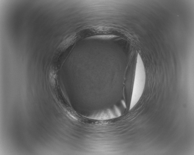 X0000055980235200509162233