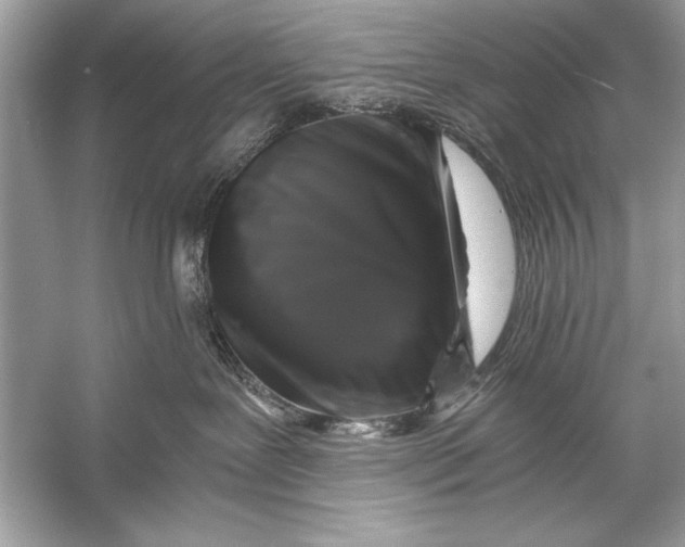 X0000055980239200509162233