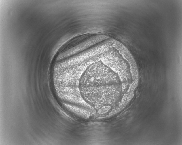 X0000055980242200509162233