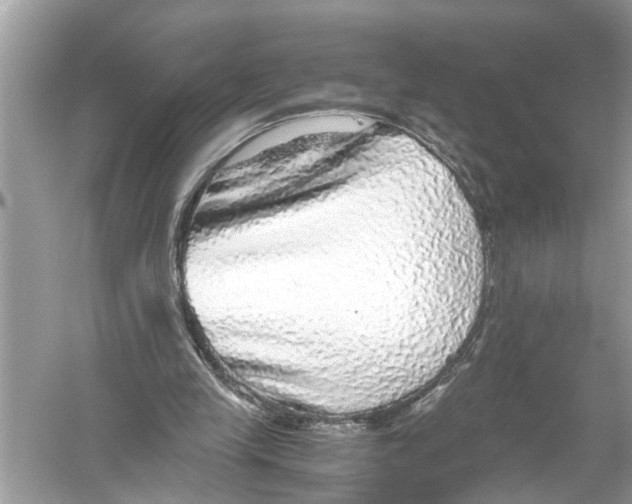 X0000055980245200509162233