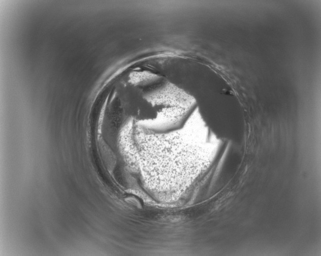 X0000055980247200509162233