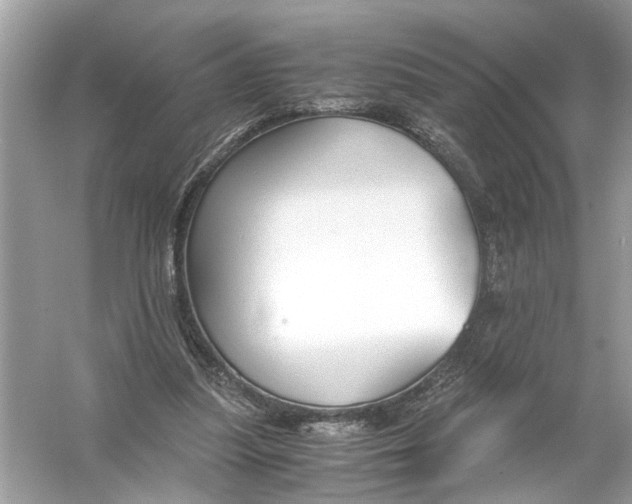 X0000055980251200509162233