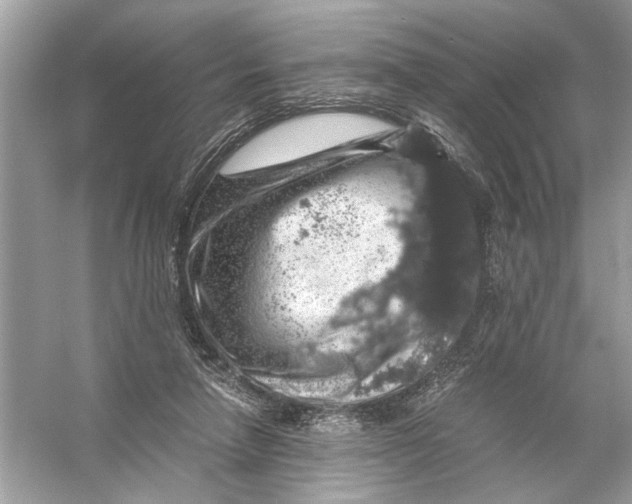 X0000055980258200509162233