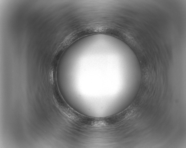 X0000055980262200509162233