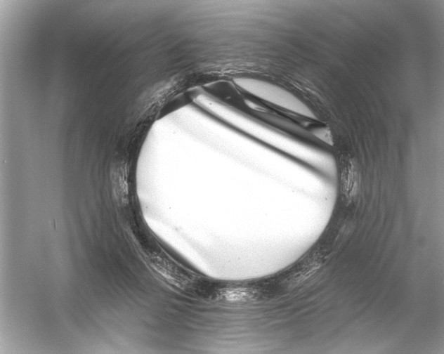 X0000055980264200509162233