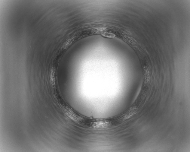 X0000055980274200509162233