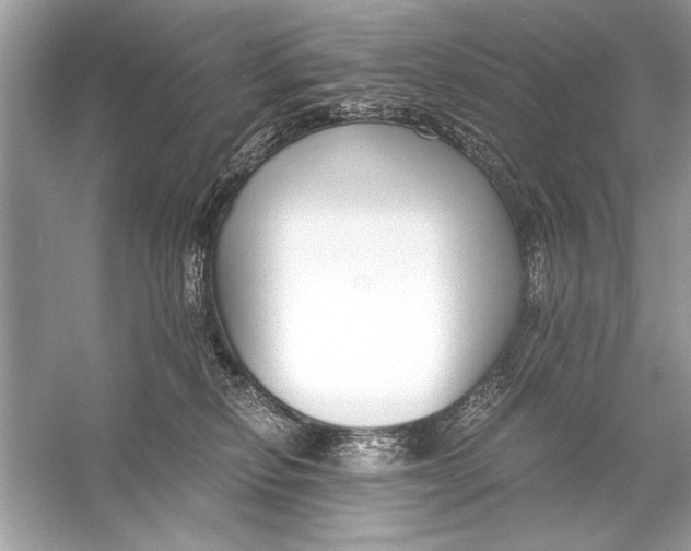 X0000055980278200509162233